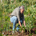 Hoe leg je een moestuin aan?